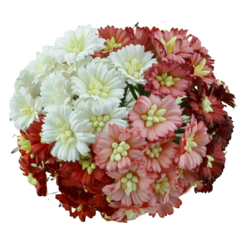 50 MIXED RED/WHITE COSMOS DAISY STEM FLOWERS