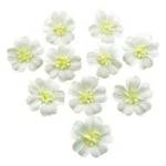 100 Pcs Mulberry Paper Flowers Blossom with Thread Stem Scrapbooking Card Marking DIY Crafts 18 x18mm Mini Paper Flowers (Pastel Colors)