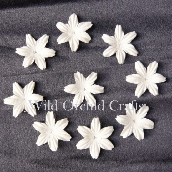 100 FOUNDATION WHITE BLOOMS (2.5cm / 1")