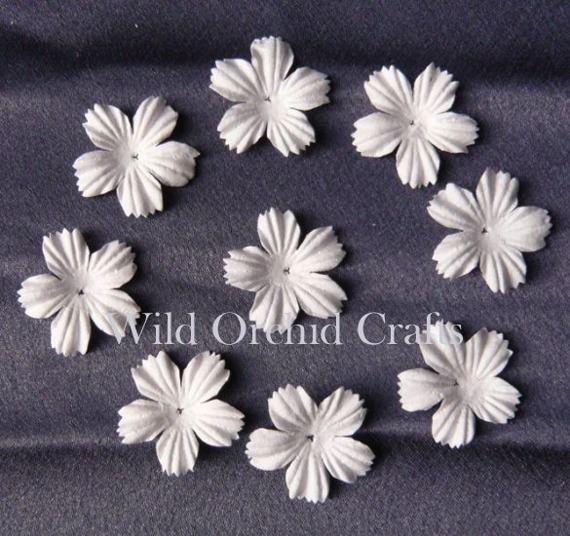 100 FOUNDATION WHITE BLOOMS (2.7cm / 1,06")