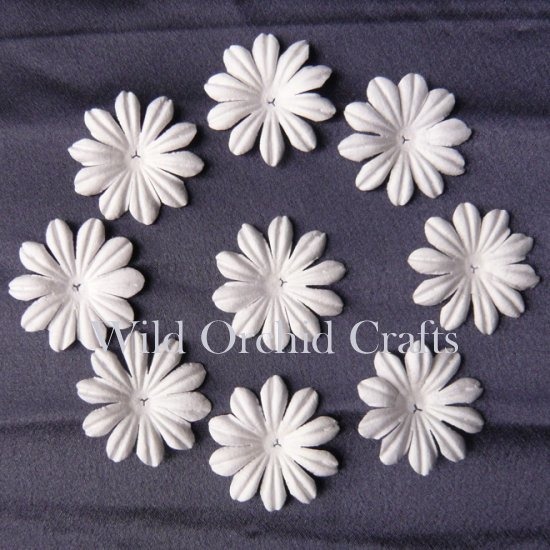 100 FOUNDATION WHITE BLOOMS (3,5cm / 1,37")