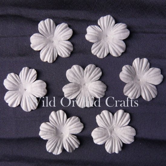 100 FOUNDATION WHITE BLOOMS (4,5cm / 1,75")