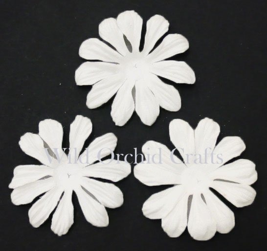 100 FOUNDATION WHITE BLOOMS (6,5cm / 2,5")