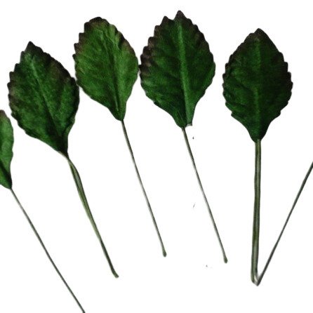 100 GREEN MULBERRY PAPER LEAVES - 25mm (")