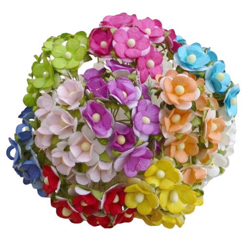 100 MIXED COLOUR SWEETHEART BLOSSOM