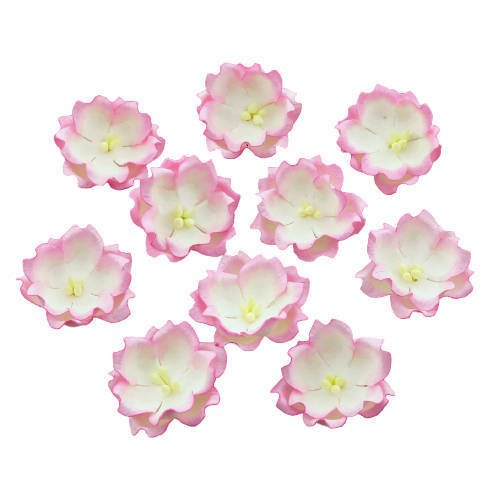 2-TONE BABY PINK/IVORY COTTON STEM MULBERRY PAPER FLOWERS - SET E