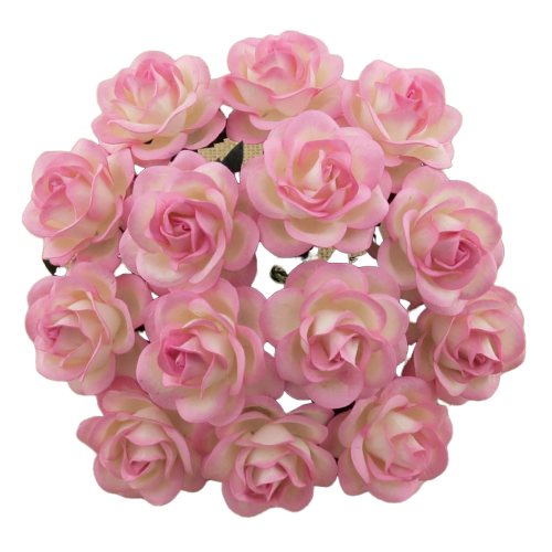 25 2-TONE BABY PINK/IVORY MULBERRY PAPER TRELLIS ROSES 35MM