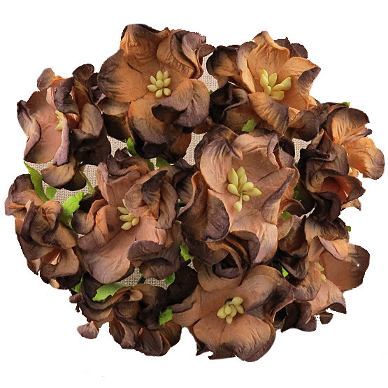 25 2-TONE CHOCOLATE BROWN GARDENIAS 3,5CM