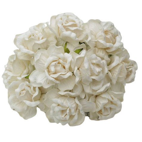 25 LARGE IVORY MULBERRY PAPER WILD ROSES 40mm (1 1/2")