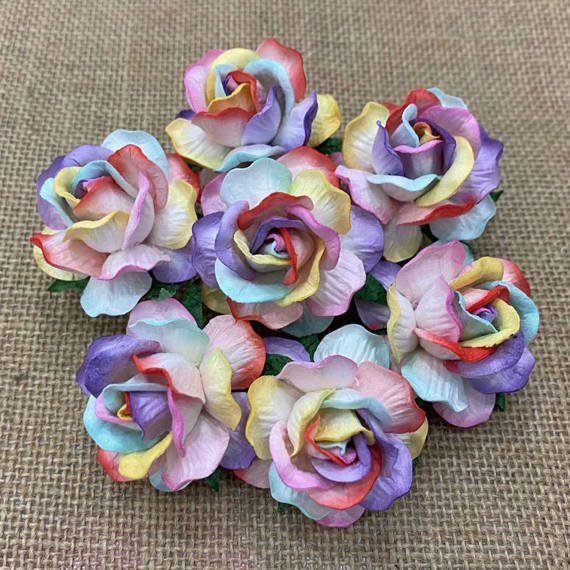 25 LARGE RAINBOW COLORED MULBERRY WILD ROSES 40mm (1½")