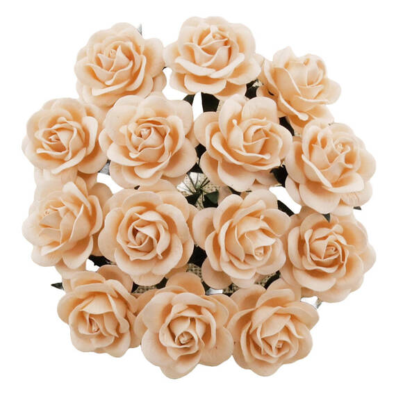 25 PALE PEACH MULBERRY PAPER TRELLIS ROSES 40mm