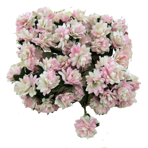 50 2-TONE BABY PINK / IVORY MULBERRY PAPER ASTER DAISY STEM FLOWERS