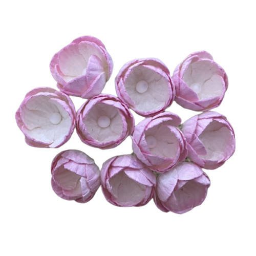 50 2-TONE BABY PINK/IVORY MULBERRY PAPER BUTTERCUPS