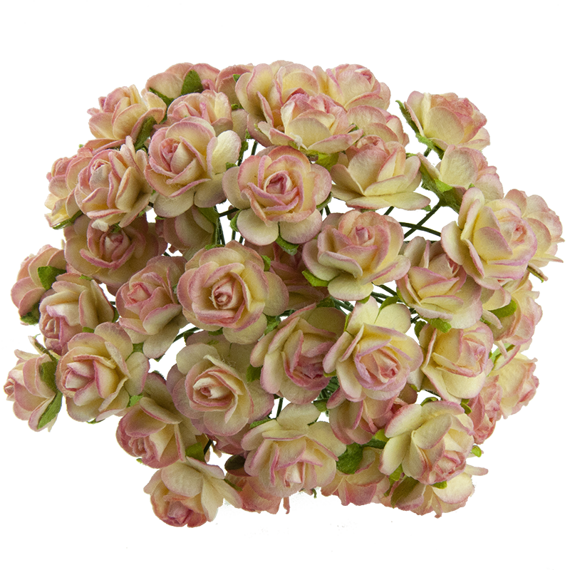 50 2-TONE CHAMPAGNE MULBERRY PAPER OPEN ROSES 20MM