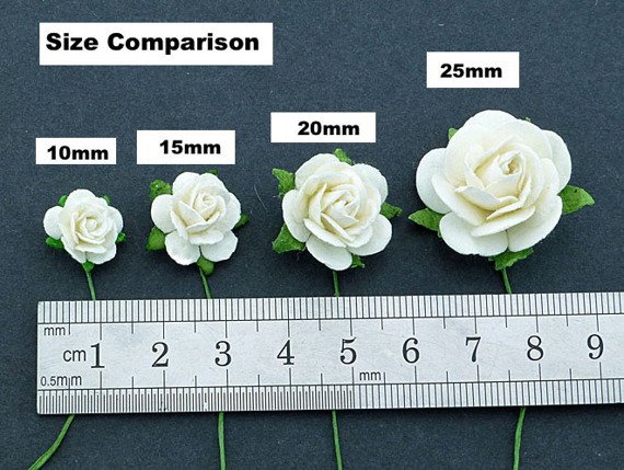 50 2-TONE CHAMPAGNE MULBERRY PAPER OPEN ROSES 25MM