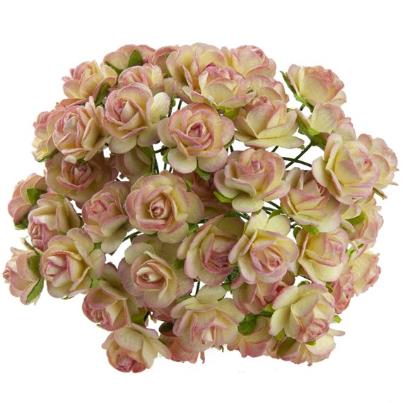 50 2-TONE CHAMPAGNE MULBERRY PAPER OPEN ROSES 25MM