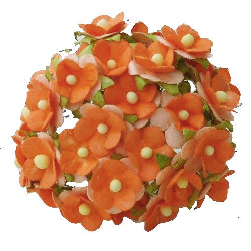 50 2-TONE ORANGE MULBERRY PAPER SWEETHEART BLOSSOM FLOWERS