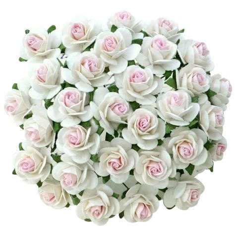 50 2-TONE WHITE WITH BABY PINK CENTRE MULBERRY PAPER OPEN ROSES 15 MM