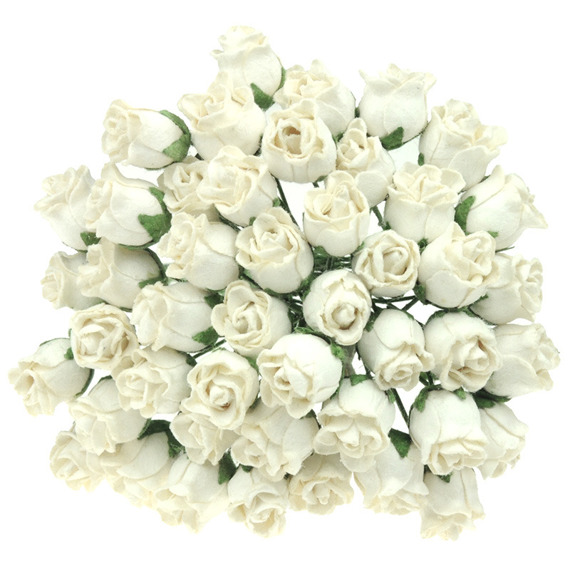 50 CREAM HIP ROSEBUDS