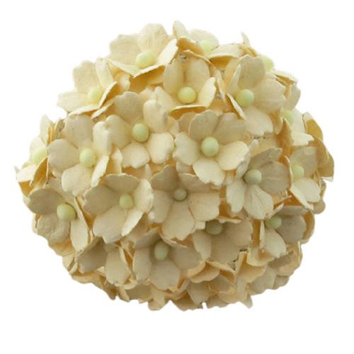 50 DEEP IVORY MULBERRY PAPER SWEETHEART BLOSSOM FLOWERS