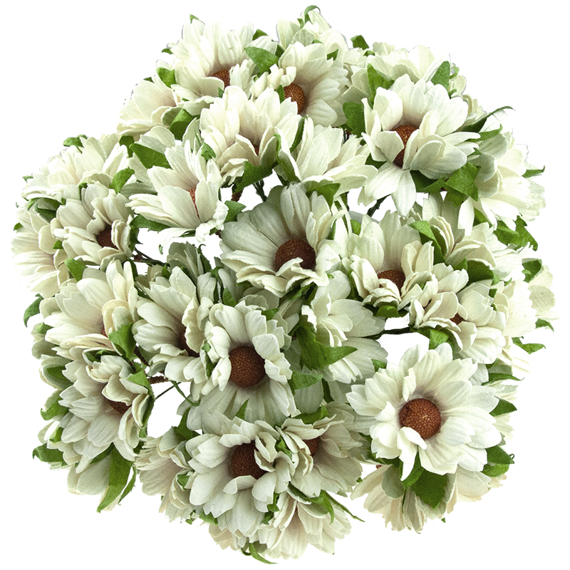 50 IVORY MULBERRY PAPER CHRYSANTHEMUMS