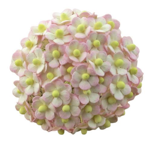 50 MINIATURE 2-TONE BABY PINK/IVORY SWEETHEART BLOSSOM FLOWERS