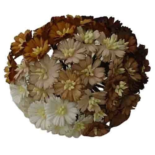 50 MIXED BROWN/WHITE COSMOS DAISY STEM FLOWERS
