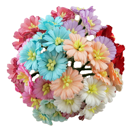50 MIXED COLOUR COSMOS DAISY STEM FLOWERS