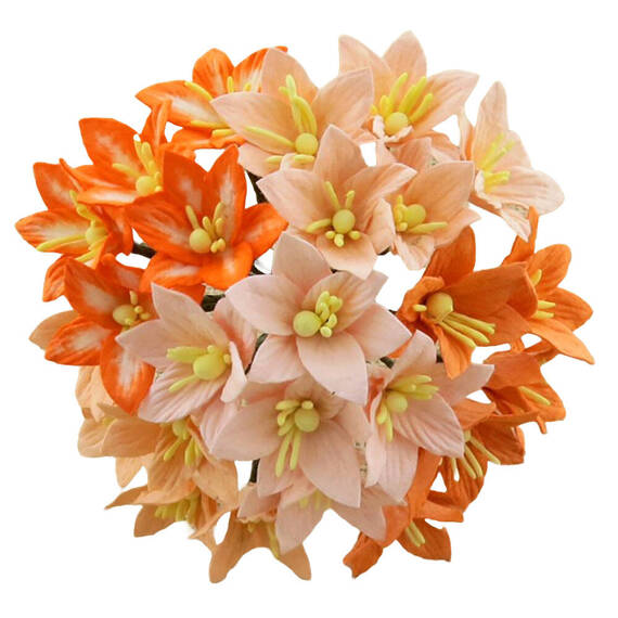 50 MIXED PEACH/ORANGE MULBERRY PAPER LILY FLOWERS