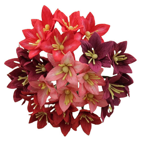 50 MIXED RED MULBERRY PAPER LILY FLOWERS