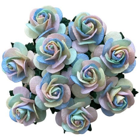 50 PASTEL RAINBOW MULBERRY PAPER OPEN ROSES 15 MM