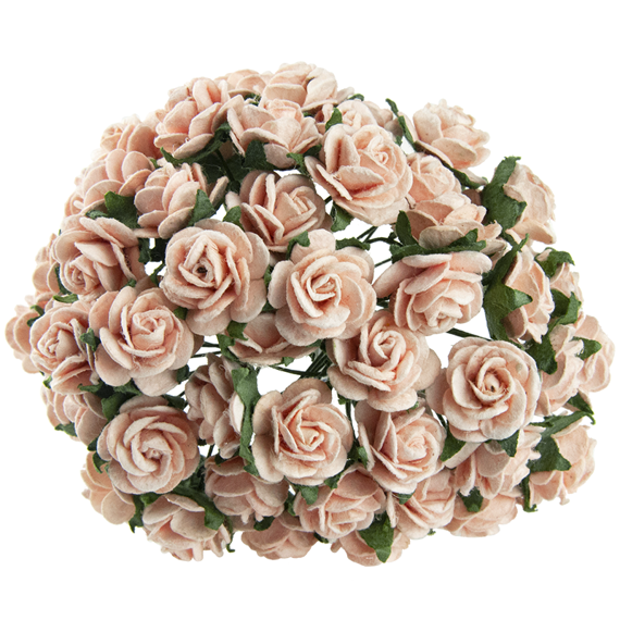 50 PEACH PUFF MULBERRY PAPER OPEN ROSES 20 MM