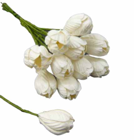 50 WHITE MULBERRY PAPER TULIP FLOWERS