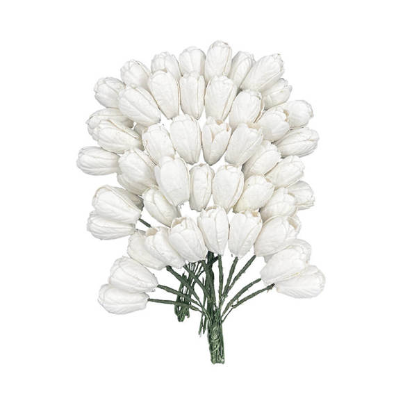 50 WHITE MULBERRY PAPER TULIP FLOWERS