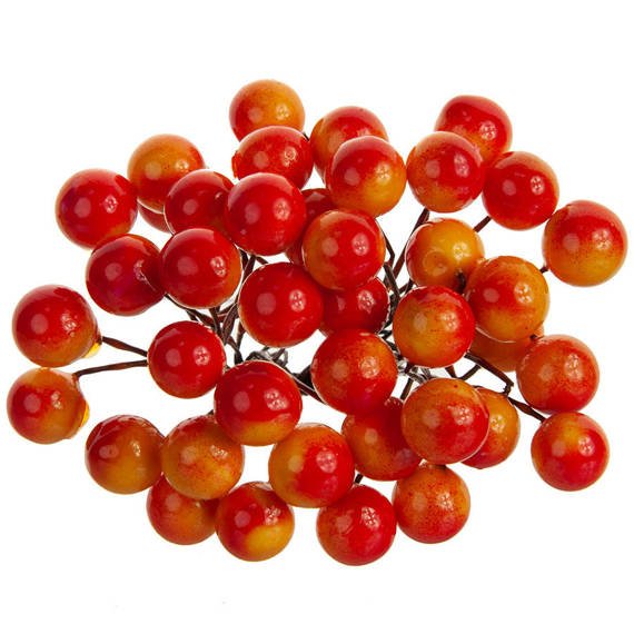 Berries of mountain ash