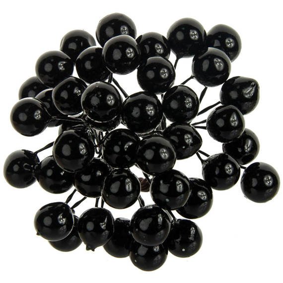Black berries of mountain ash