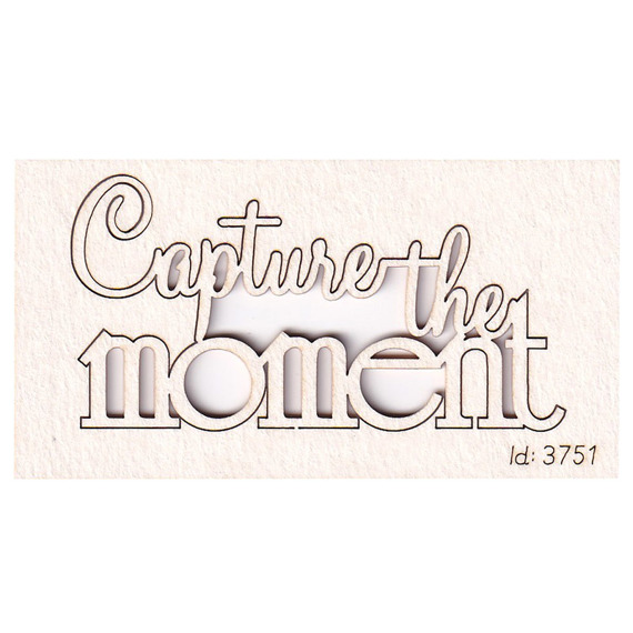 Chipboard Lettering Capture the moment 