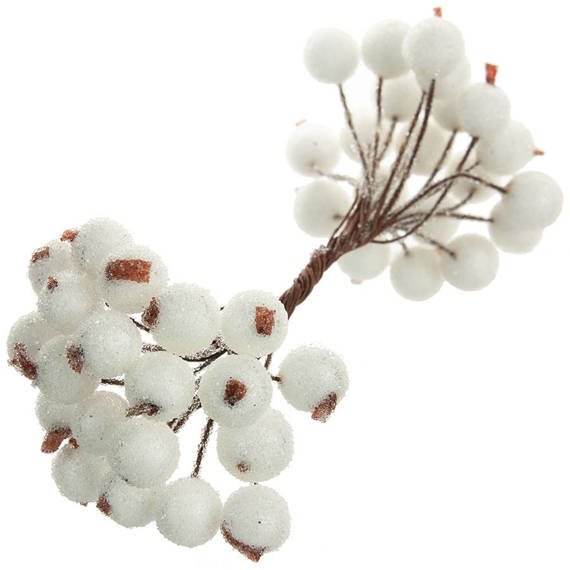Frosted white berries of mountain ash
