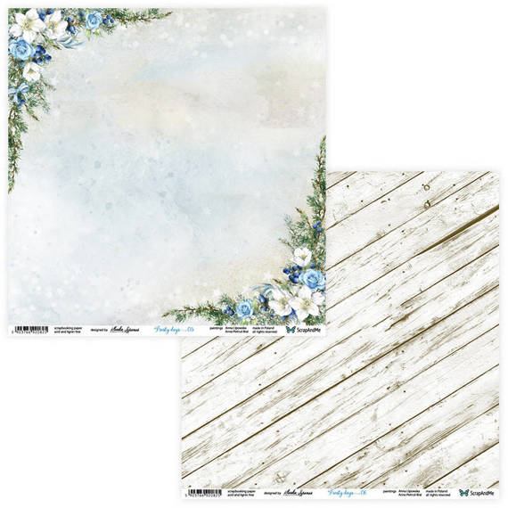 Scrapbooking Craft Papier Set 30x30 - ScrapAndMe - Frosty Days