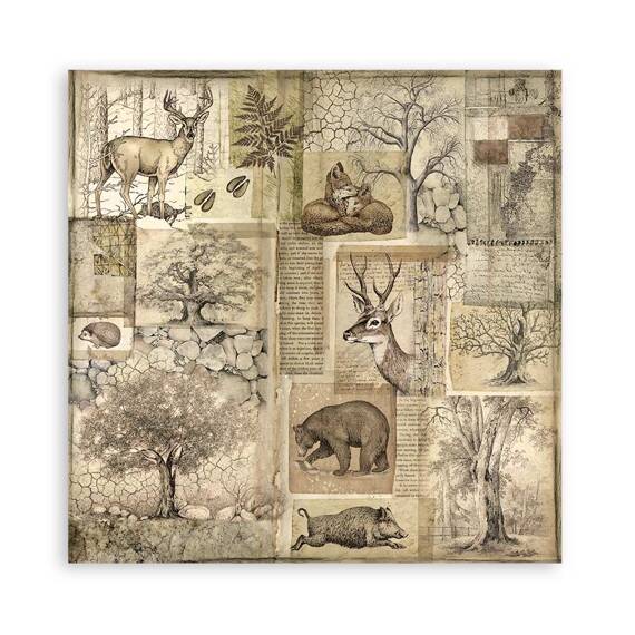 Scrapbooking Craft Papier Set for scrapbooking 30x30 - Stamperia - Forest