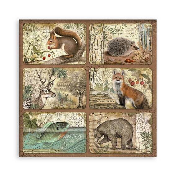 Scrapbooking Craft Papier Set for scrapbooking 30x30 - Stamperia - Forest