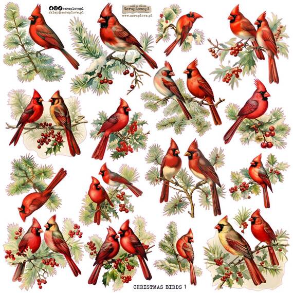 Stickers - ScrapLove - Christmas birds