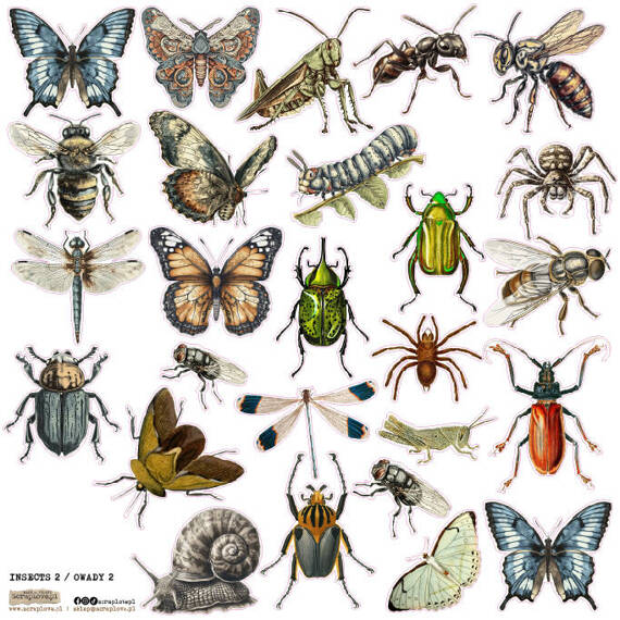 Stickers - ScrapLove - Insects 2