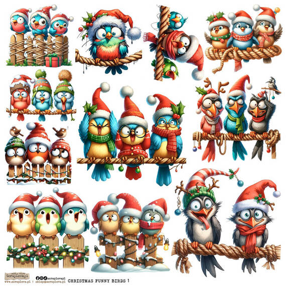 Stickers paper - ScrapLove - Christmas Funny Birds 1 Christmas Birds