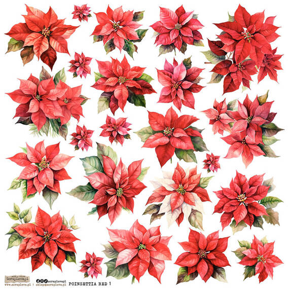 Stickers paper - ScrapLove - Poinsettia Red 1 poinsettia star of Bethlehem