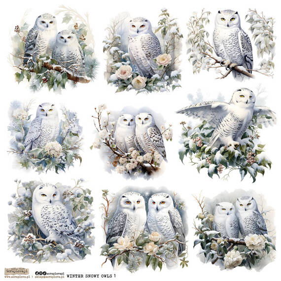 Stickers paper - ScrapLove - Winter Snowy Owl 1 owls