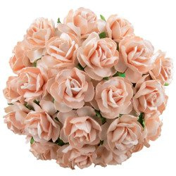 50 PALE PEACH MULBERRY PAPER WILD ROSES 1¼" (30mm)