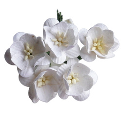 50 WHITE MULBERRY PAPER CHERRY BLOSSOMS