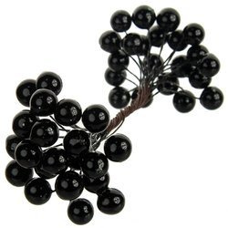 Black berries of mountain ash