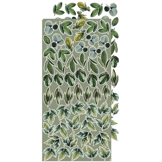 Time scrapbooking accessories set - Craft o'clock - All Leaves 04 - MIX